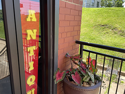 Mellwood Antiques and Interiors
